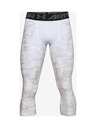 Under Armour Moške pajkice Under Armour HG 3/4 Print Leggings