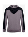 Under Armour Rival Pulover