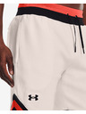 Under Armour Moške kratke hlače Under Armour RIVAL FLEECE AMP SHORT