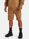 Under Armour Moške kratke hlače Under Armour UA ORIGINATORS SHORT