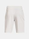 Under Armour Moške kratke hlače Under Armour RIVAL TERRY CLLGT SHORT