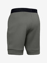 Under Armour Moške kratke hlače Under Armour Move Shorts
