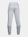 Under Armour Deške športne hlače Under Armour UA RIVAL COTTON PANTS-GRY