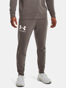 Under Armour Moške spodnji del trenirke Under Armour UA Rival Terry Jogger