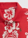 GAP Baby komplet polo in kratke hlače GAP