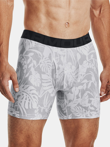 Under Armour Moške boksarice Under Armour Tech 6In Novelty 2 Pack