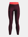 Under Armour Ženske pajkice Under Armour Armour Branded WB Leg