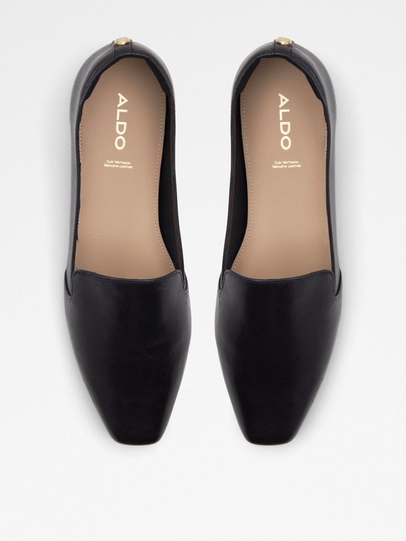 Aldo Lareir Mokasini