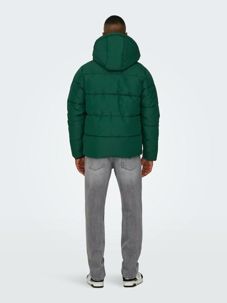 ONLY & SONS Temno zelena moška prešita zimska jakna ONLY & SONS Carl