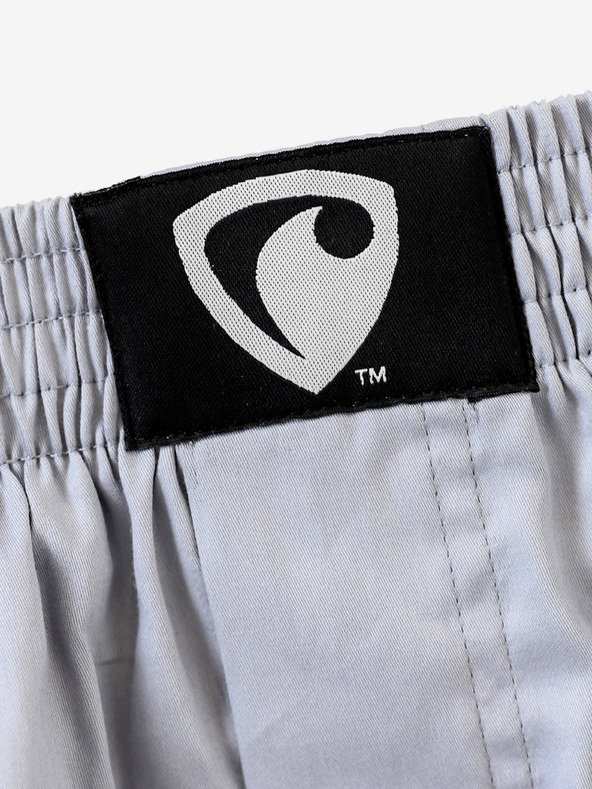 Represent Ali Ohlapne boksarice