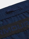 Under Armour Moške kratke hlače Under Armour UA Vanish Woven 6in Shorts