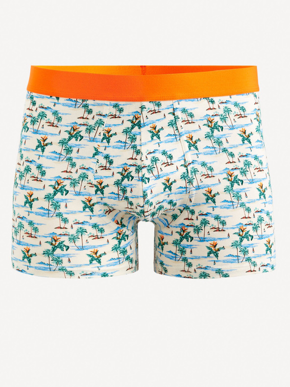 Celio Giboparadi Boksarice