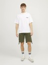 Jack & Jones Khaki Moške hlače Jack & Jones Cole