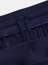 Under Armour Moške športne hlače Under Armour UA UNSTOPPABLE CARGO PANTS