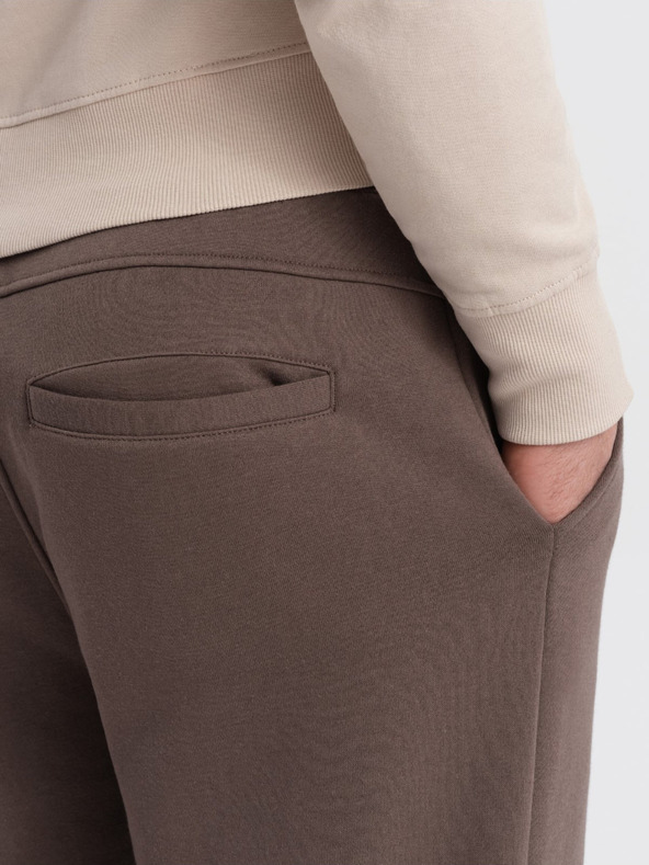 Ombre Clothing Rjave moške tovorne hlače Ombre Clothing