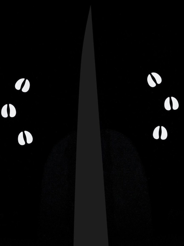 Kilpi Črne otroške smučarske hlače Kilpi CHARLIE