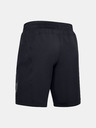 Under Armour Moške kratke hlače Under Armour PJT ROCK UNSTPPBLE Storm Short