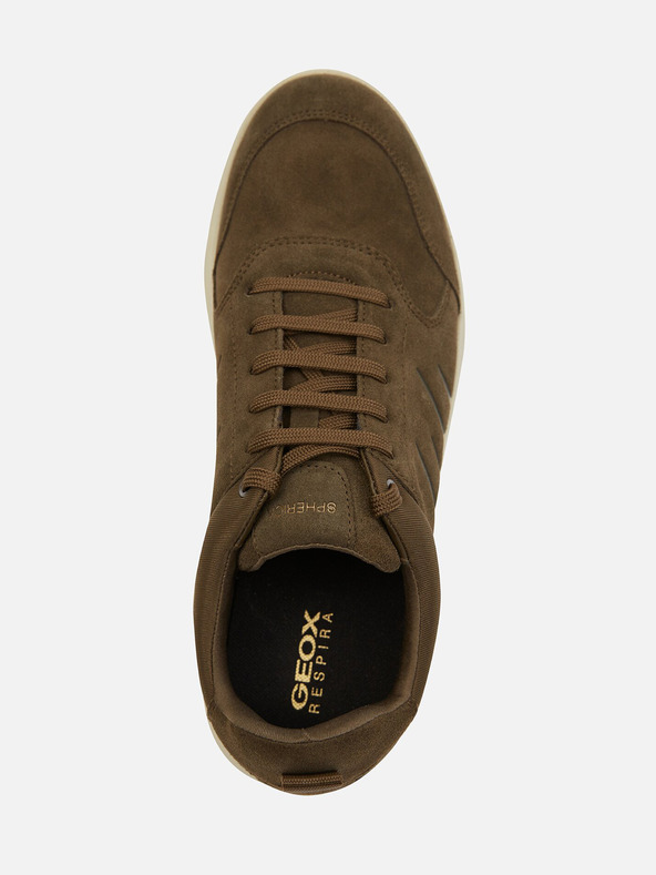 Geox Kaki moške superge Geox Spherica