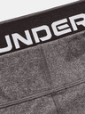 Under Armour Ženske pajkice Under Armour UA CG Authentics Legging