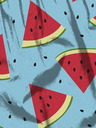 Horsefeathers Manny kratke hlače - melon Horsefeathers