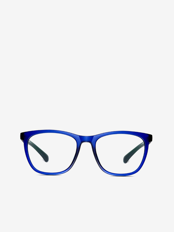 VEYREY Računalniška očala