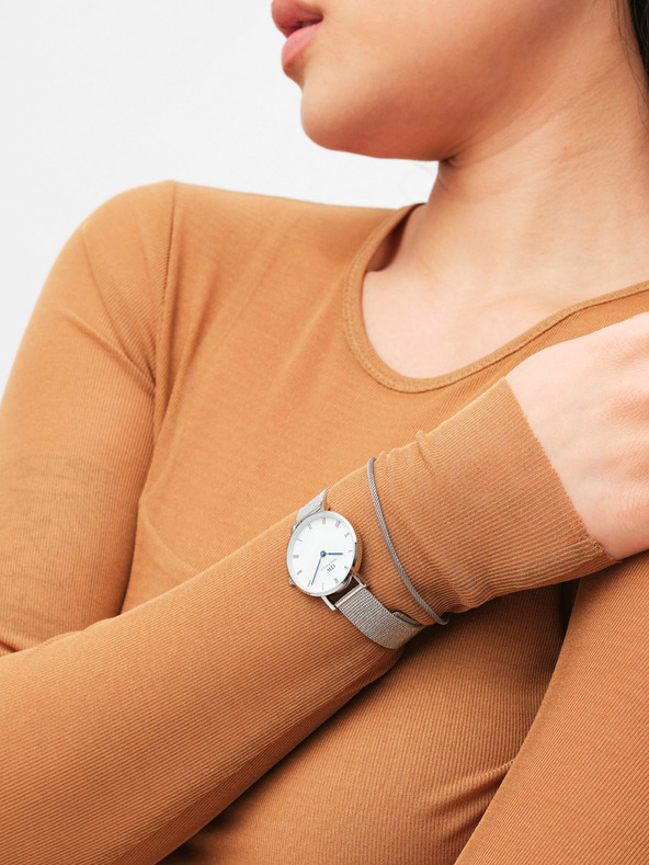 Daniel Wellington Daniel Wellington Mesh Petite Sterling Silver ženska ura