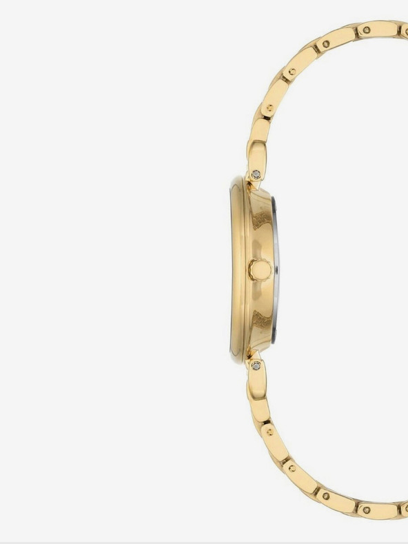 Anne Klein Ženska zlata ura Anne Klein
