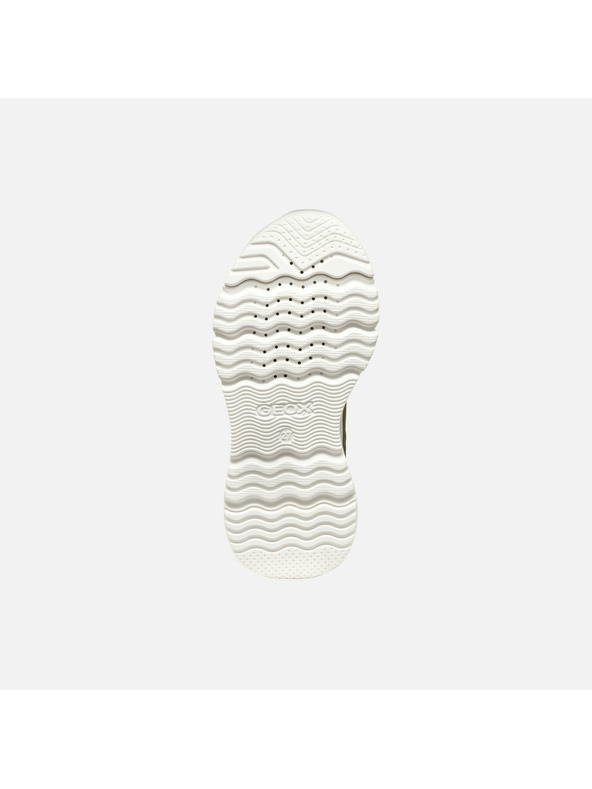 Geox Kaki fantovski tenisi Geox Loftus