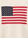 GAP Pulover Gap Americana GAP