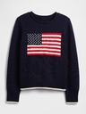 GAP Pulover Gap Americana GAP