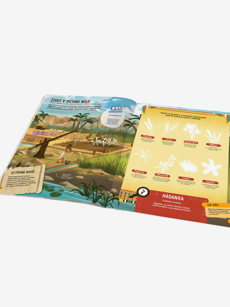 ELLA & MAX MISEL PRAVA - Iskanje in reševanje z nalepkami