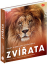 ELLA & MAX Veliki slikovni vodnik po ŽIVALIH