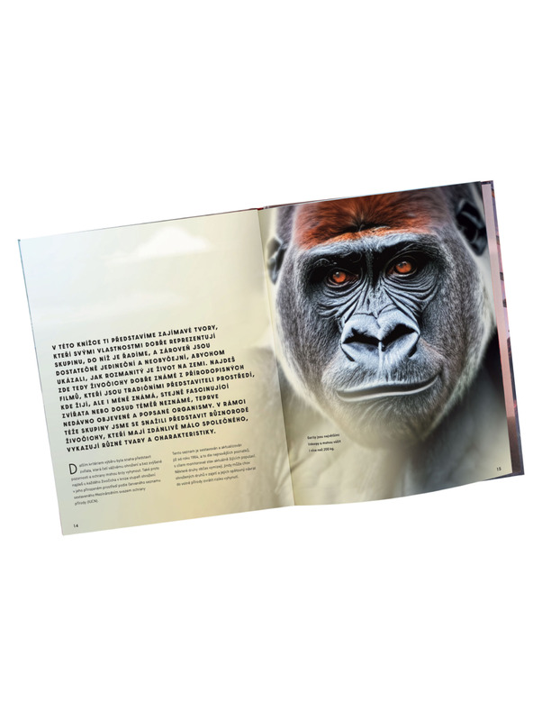 ELLA & MAX Veliki slikovni vodnik po ŽIVALIH