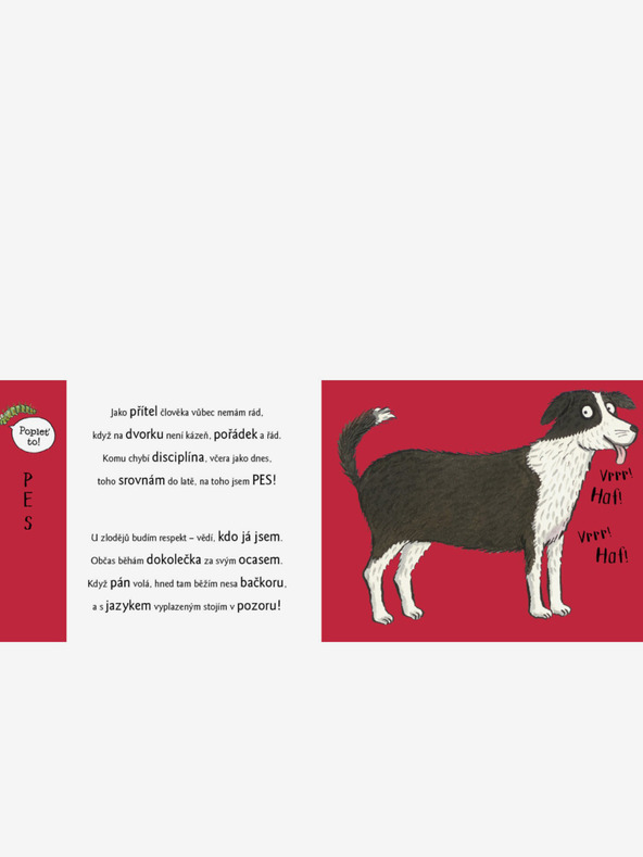 ELLA & MAX Razposajeni Play-Doh z živalmi