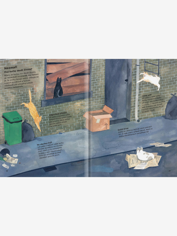 ELLA & MAX ZAKAJ MAČKE PLEZAJO PO ZAVESAH? - Vse o mačkah