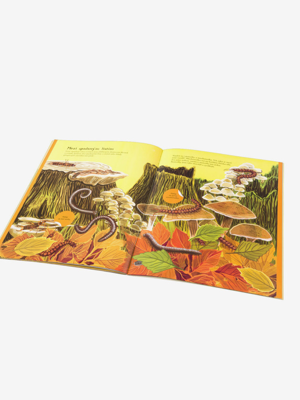 ELLA & MAX PTIČKI, MAVČKI in drugi ptički - Knjiga nalepk