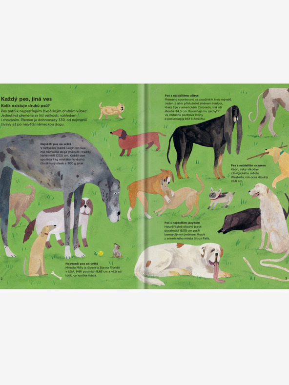 ELLA & MAX ZAKAJ PSI VOHAJO DRUG DRUGEGA? - Vse o psih