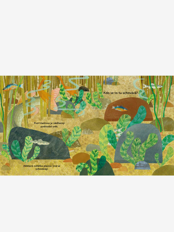 ELLA & MAX Kdo se tukaj skriva? Ob reki - Knjiga z odpirajočimi se okni