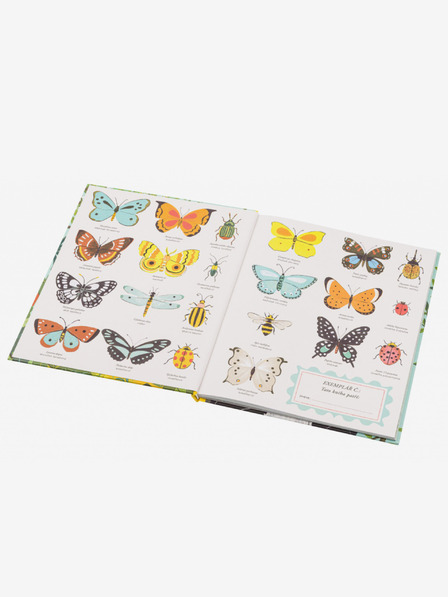 ELLA & MAX O IZVODU VRST - Darwinova teorija za otroke