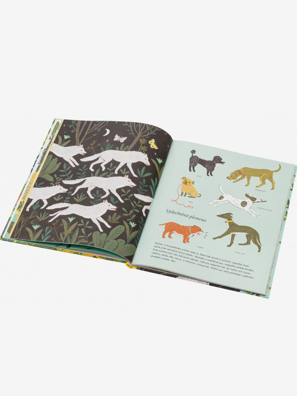 ELLA & MAX O IZVODU VRST - Darwinova teorija za otroke