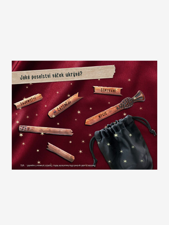 ELLA & MAX KNJIGA POBEGA - SKRIVNOST ČRNE VILE