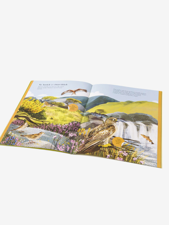 ELLA & MAX Psi, volkovi in drugi pevci - Knjiga nalepk