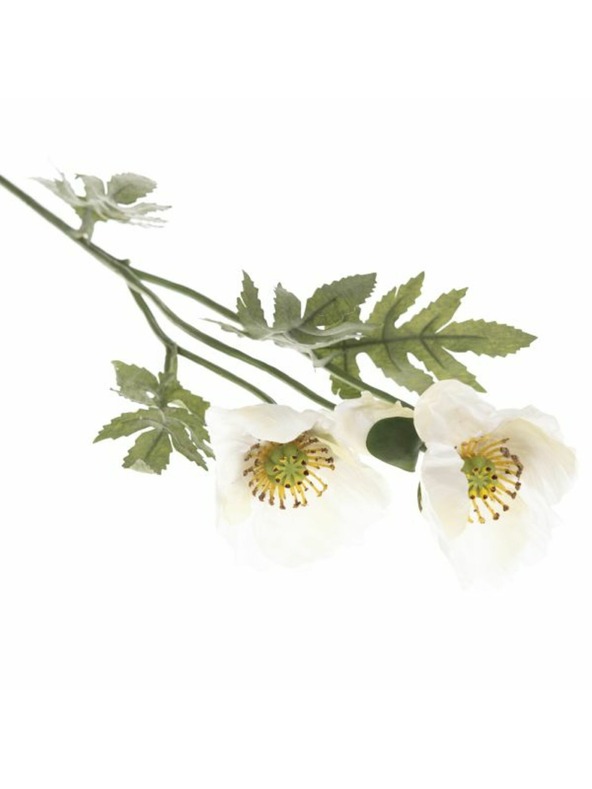 Casa de Engel Umetni mak, 36/432