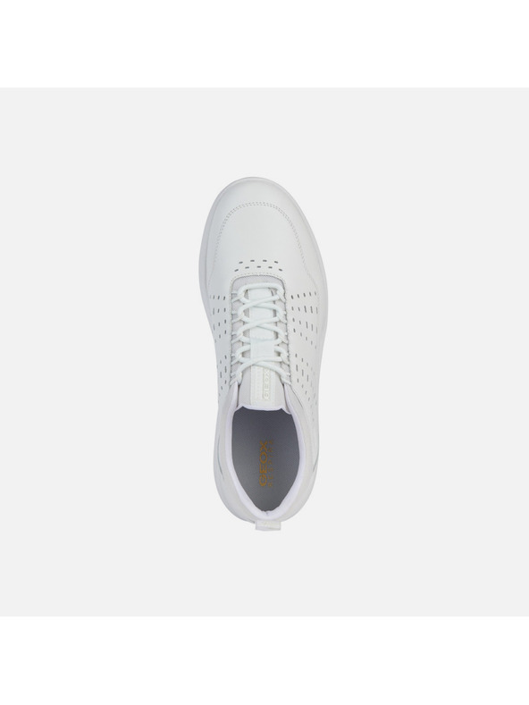 Geox Bele moške superge Geox Spherica C