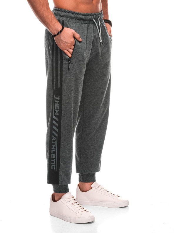 Edoti Moške hlačne 1506P - sive OTHER