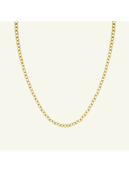 Rosefield Rosefield ogrlica zlate barve Oval Chainlink JNOCG-J626