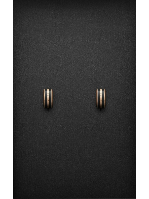 Daniel Wellington Jeklene uhane Daniel Wellington DW00400310