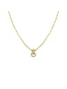 Rosefield Pozlačen ženski ogrlica Rosefield JNBSG-J898