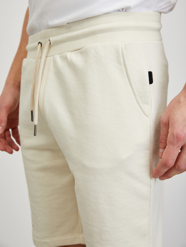 ZOOT.lab Kremne moške trenirke ZOOT.lab Jordan