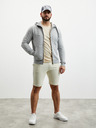 ZOOT.lab Siva moška osnovna moška kapuca z zadrgo ZOOT.lab Michael